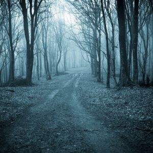 Stalker (Cinematic Music)