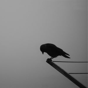 Passive