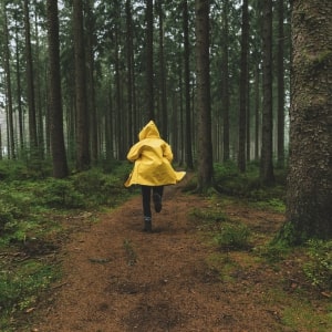 Path To The future