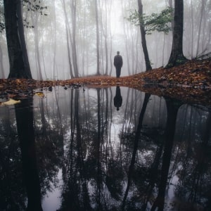 Dark Harmonies